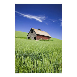 USA, Washington, Old Red Barn in the Spring Photo Print
