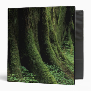 USA, Washington, Olympic National Park, 2 3 Ring Binder
