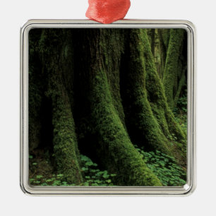 USA, Washington, Olympic National Park, 2 Metal Ornament