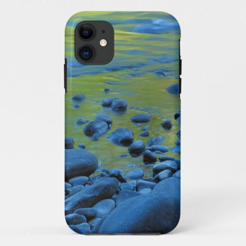 USA Washington Olympic National Park 4 iPhone 11 Case