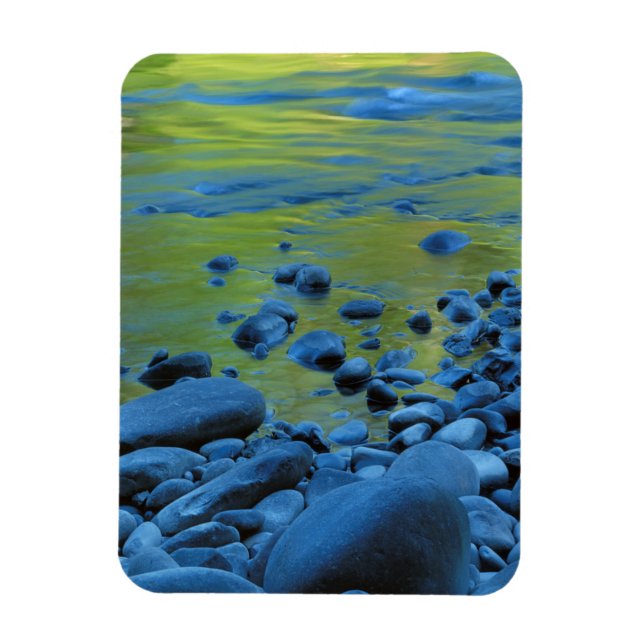 USA, Washington, Olympic National Park 4 Magnet (Vertical)