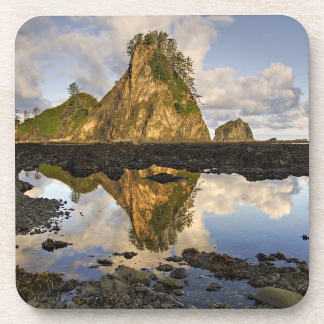 USA, Washington, Olympic National Park.  A Beverage Coaster (Front)