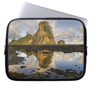 USA, Washington, Olympic National Park.  A Laptop Sleeve