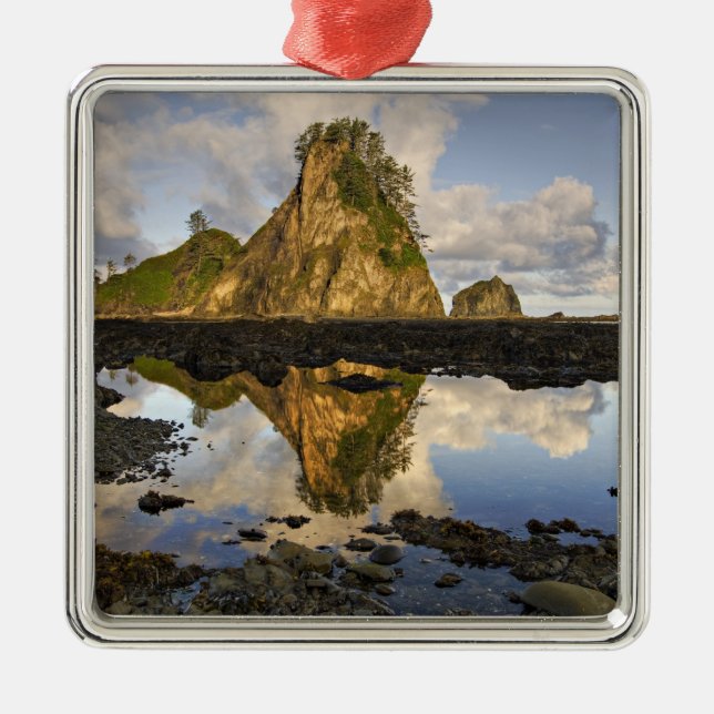 USA, Washington, Olympic National Park.  A Metal Ornament (Front)