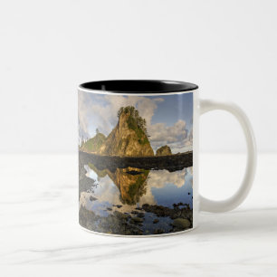 USA, Washington, Olympic National Park. A Two-Tone Coffee Mug