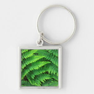 USA, Washington, Olympic National Park, Athyrium Keychain