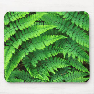 USA, Washington, Olympic National Park, Athyrium Mouse Pad