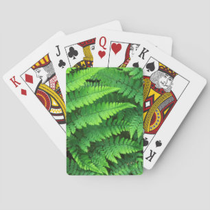 USA, Washington, Olympic National Park, Athyrium Poker Cards
