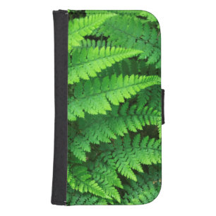 USA, Washington, Olympic National Park, Athyrium Galaxy S4 Wallet Case