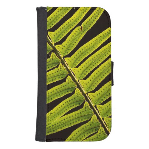 USA Washington Olympic National Park Backlit Phone Wallet