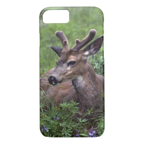 USA Washington Olympic National Park Deer iPhone 87 Case