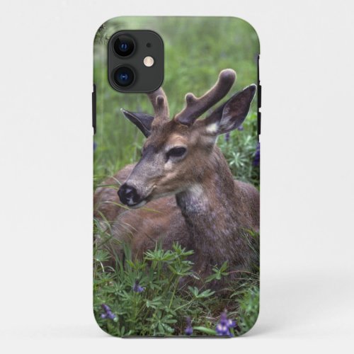 USA Washington Olympic National Park Deer iPhone 11 Case