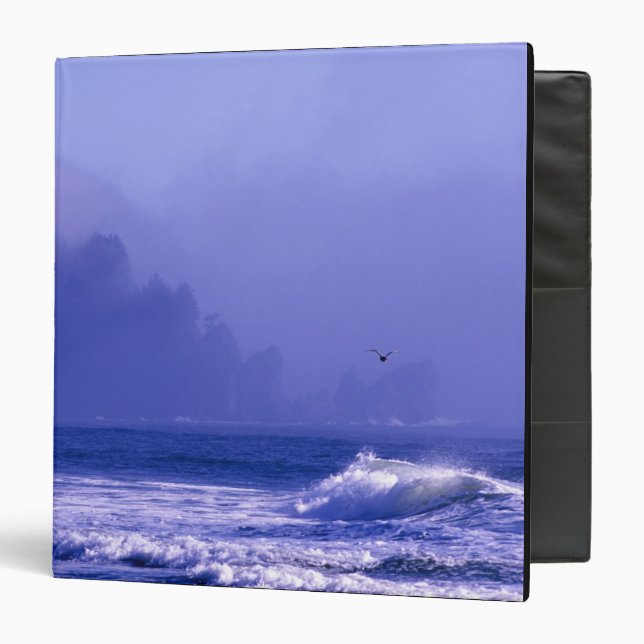 USA, Washington, Olympic National Park. Fog 3 Ring Binder (Front/Inside)