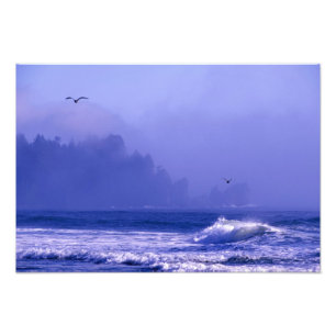 USA, Washington, Olympic National Park. Fog Photo Print