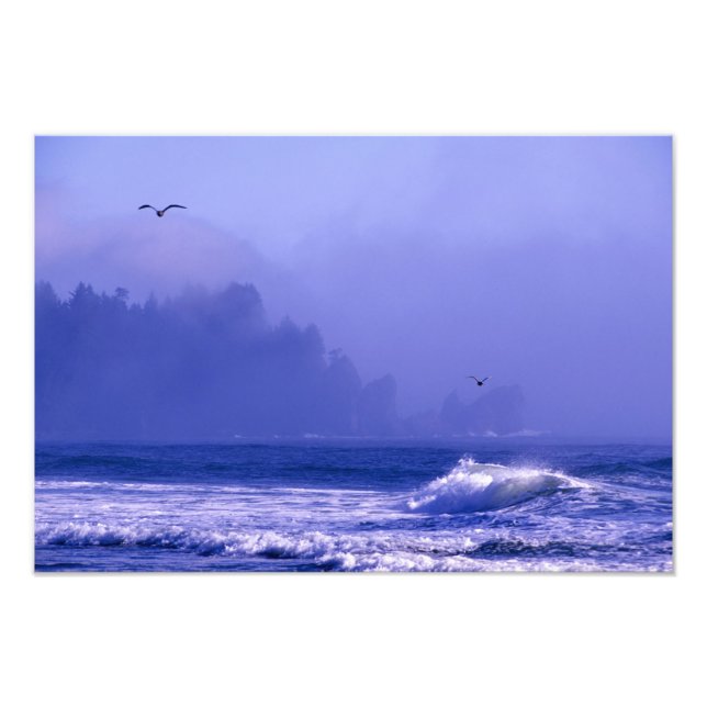 USA, Washington, Olympic National Park. Fog Photo Print (Front)
