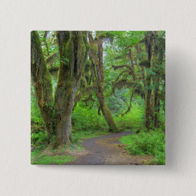 USA, Washington, Olympic National Park, Hoh Button (Front)