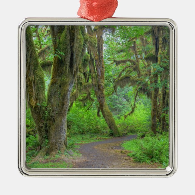 USA, Washington, Olympic National Park, Hoh Metal Ornament (Front)