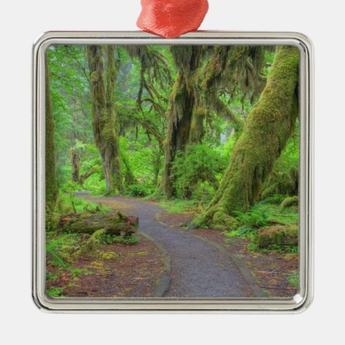 USA Washington Olympic National Park Hoh Rain Metal Ornament