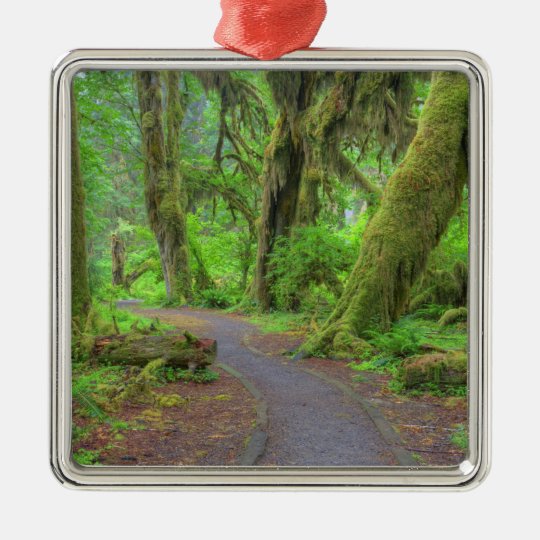 USA, Washington, Olympic National Park, Hoh Rain Metal Ornament