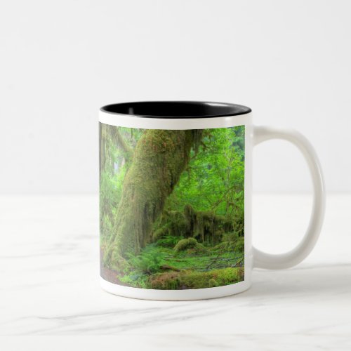 USA Washington Olympic National Park Hoh Rain Two_Tone Coffee Mug