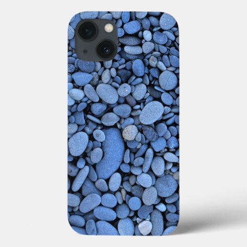 USA Washington Olympic National Park La Push iPhone 13 Case