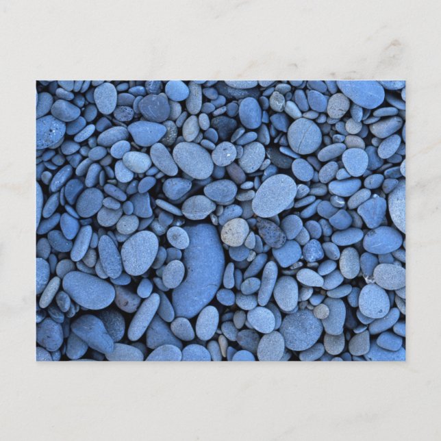 USA, Washington, Olympic National Park, La Push Postcard (Front)