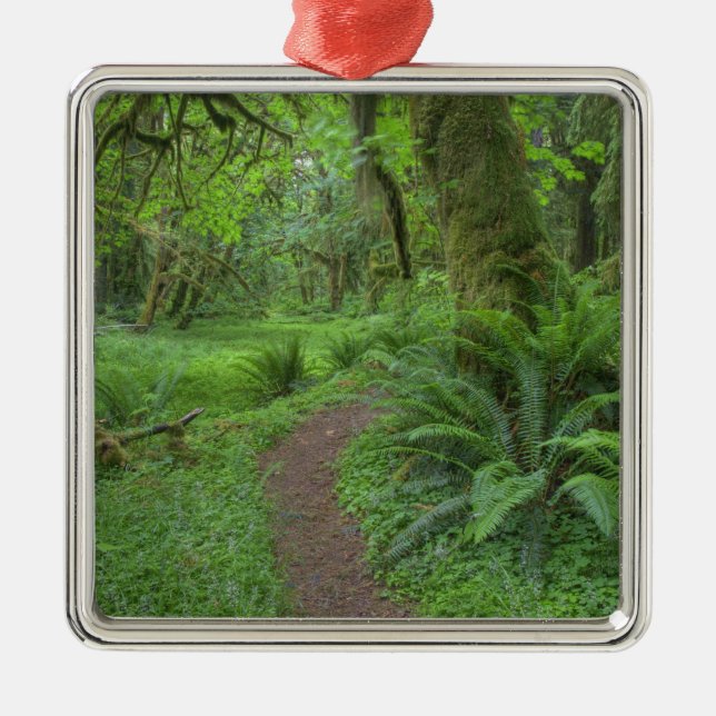 USA, Washington, Olympic National Park, Metal Ornament (Front)