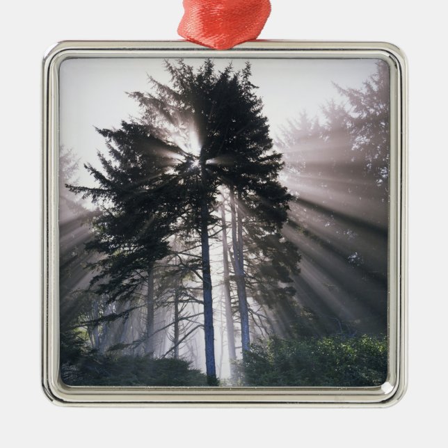 USA, Washington, Olympic National Park, Morning Metal Ornament (Front)
