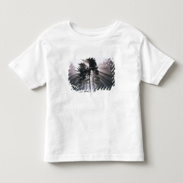 USA, Washington, Olympic National Park, Morning Toddler T-shirt (Front)