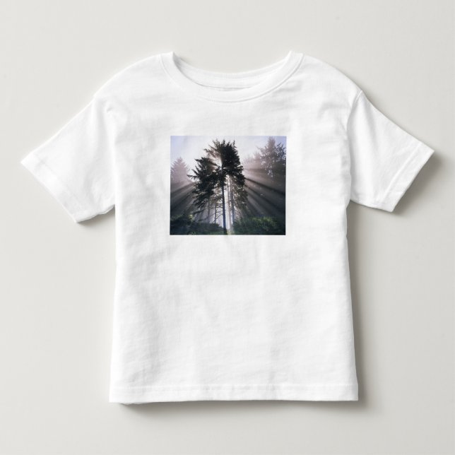 USA, Washington, Olympic National Park, Morning Toddler T-shirt (Front)