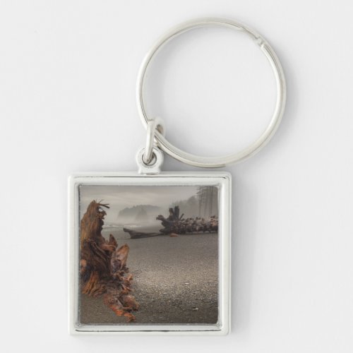 USA Washington Olympic National Park Rialto 2 Keychain