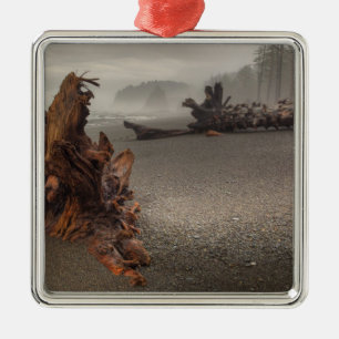 USA, Washington, Olympic National Park, Rialto 2 Metal Ornament