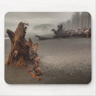 USA, Washington, Olympic National Park, Rialto 2 Mouse Pad