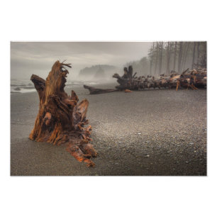 USA, Washington, Olympic National Park, Rialto 2 Photo Print