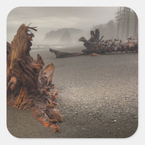 USA Washington Olympic National Park Rialto 2 Square Sticker