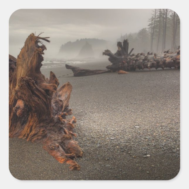 USA, Washington, Olympic National Park, Rialto 2 Square Sticker (Front)