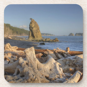 USA, Washington, Olympic National Park, Rialto Beverage Coaster
