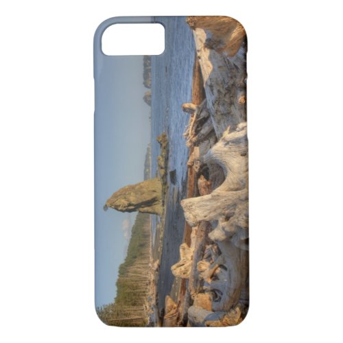 USA Washington Olympic National Park Rialto iPhone 87 Case