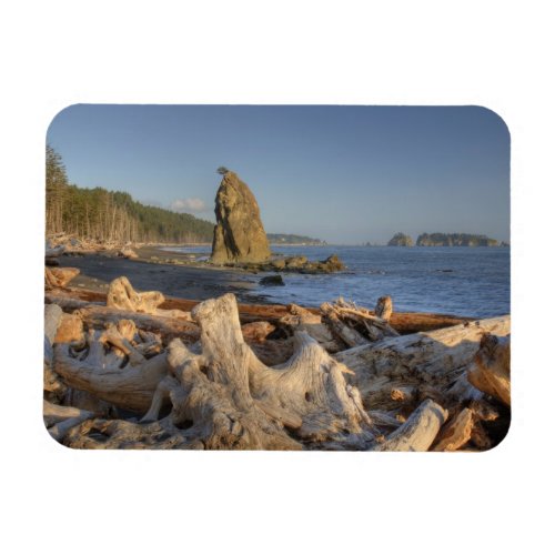 USA Washington Olympic National Park Rialto Magnet