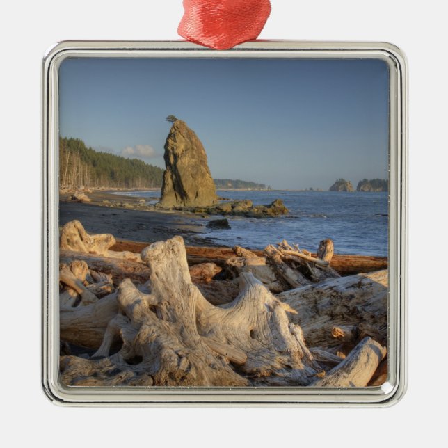 USA, Washington, Olympic National Park, Rialto Metal Ornament (Front)
