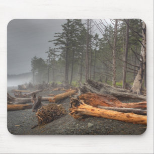 USA, Washington, Olympic National Park, Rialto Mouse Pad