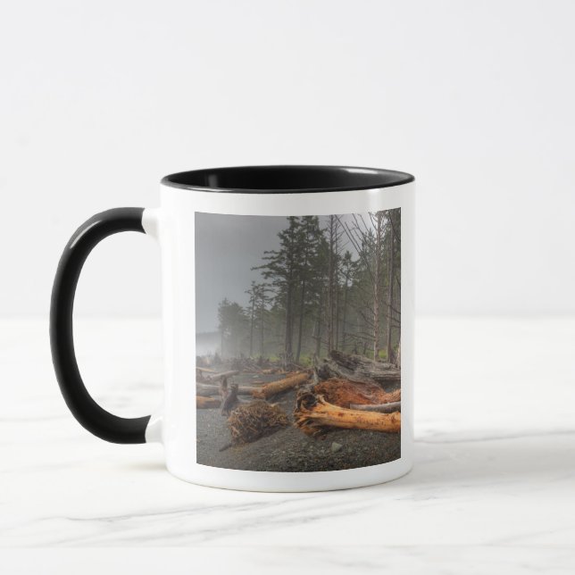 USA, Washington, Olympic National Park, Rialto Mug (Left)