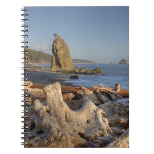 USA, Washington, Olympic National Park, Rialto Notebook