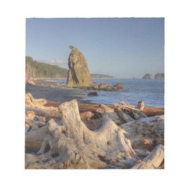 USA, Washington, Olympic National Park, Rialto Notepad (Front)