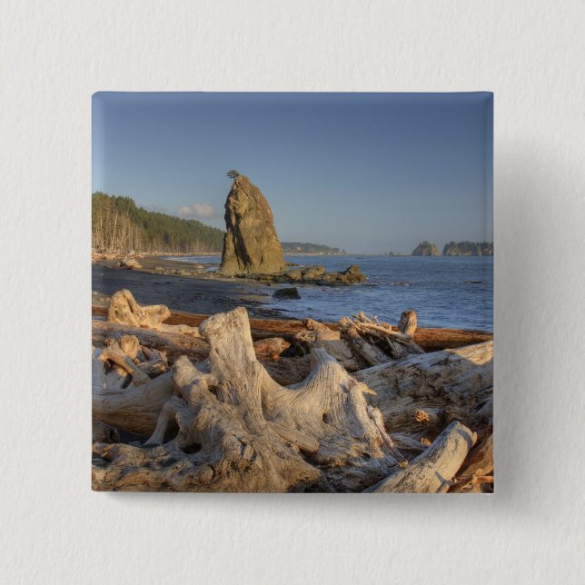 USA, Washington, Olympic National Park, Rialto Pinback Button (Front)