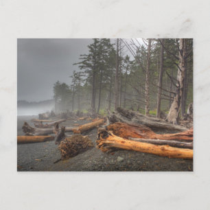 USA, Washington, Olympic National Park, Rialto Postcard