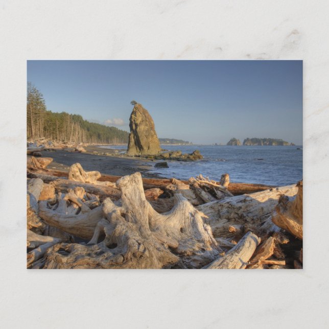 USA, Washington, Olympic National Park, Rialto Postcard (Front)