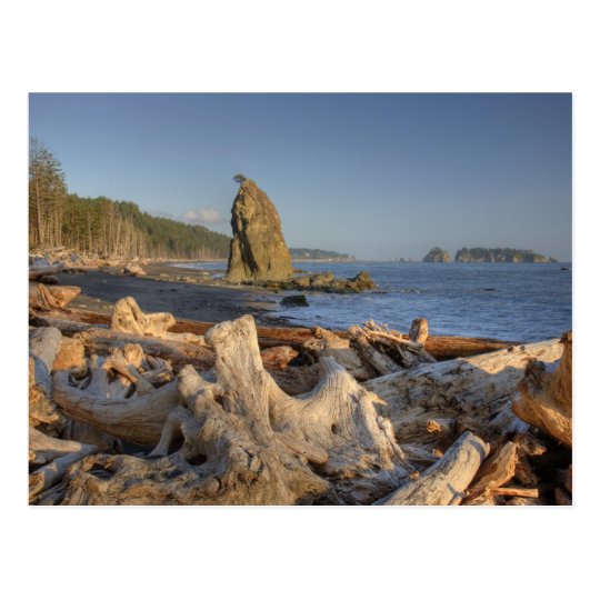 USA, Washington, Olympic National Park, Rialto Postcard