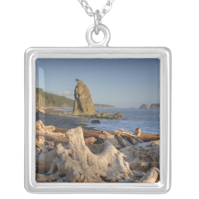 USA, Washington, Olympic National Park, Rialto Silver Plated Necklace (Front)
