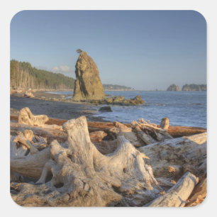 USA, Washington, Olympic National Park, Rialto Square Sticker